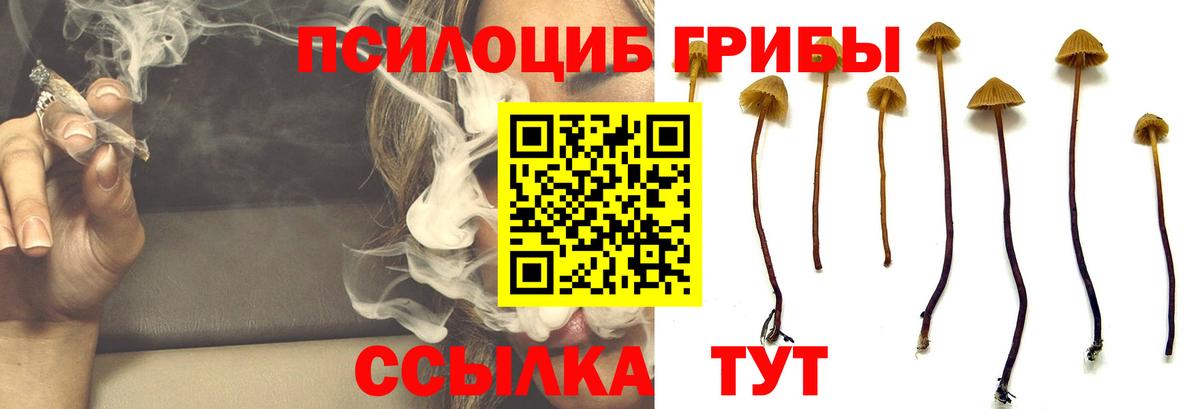 Псилоцибиновые грибы Magic Shrooms Солнечногорск