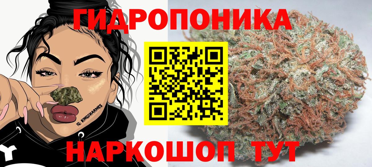 Бошки марихуана гибрид Солнечногорск
